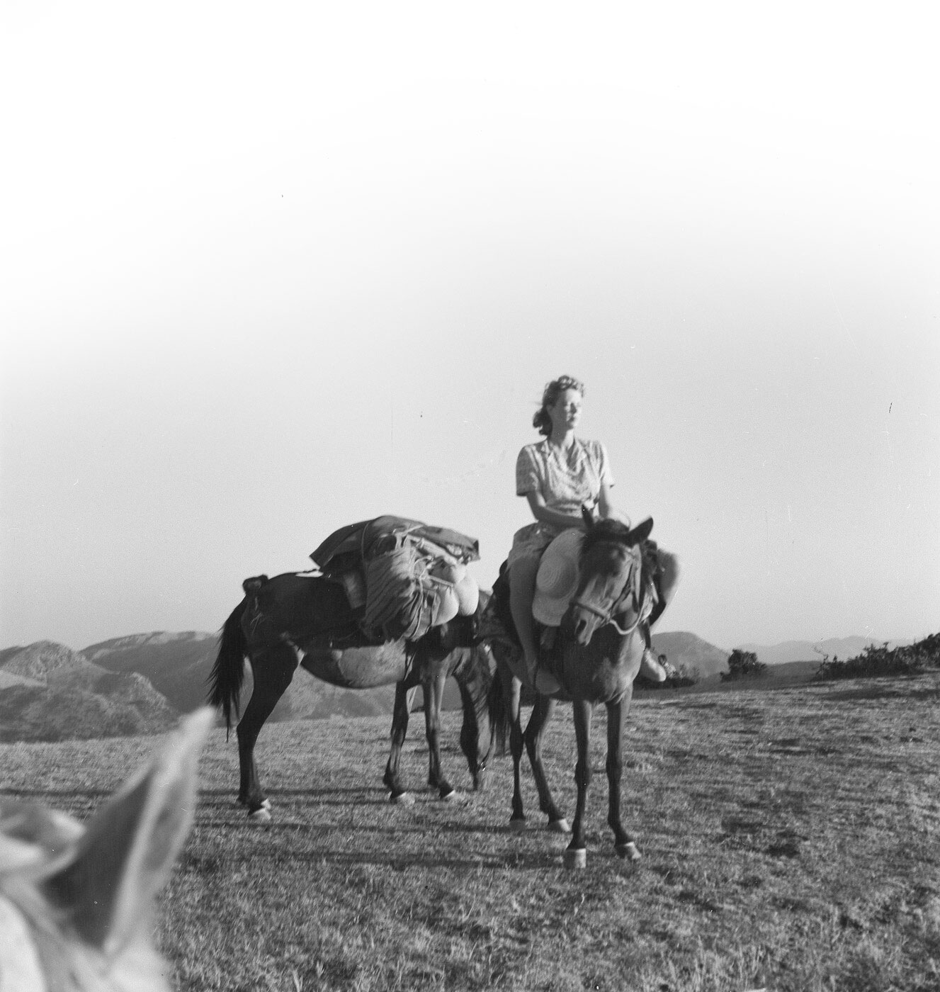 Joan on horse
